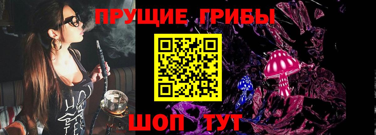 Десногорск  Псилоцибиновые грибы Psilocybe  Вход с VPN 
